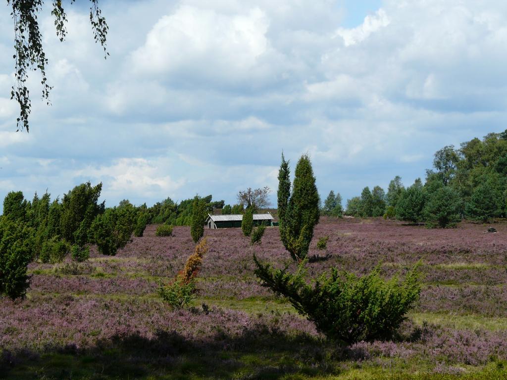 Auf Dem Simpel Village de vacances Soltau